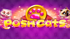 Posh Cats
