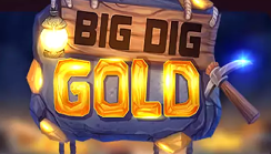 Big Dig Gold