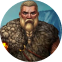 Nordic Fire