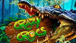 Crazy Crocs