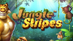 Jungle Stripes