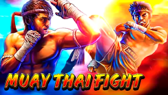 Muay Thai Fight