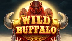 Wild Buffalo