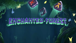 Enchanted Forest