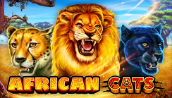 African Cats