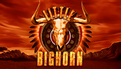 Little Bighorn