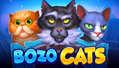 Bozo Cats