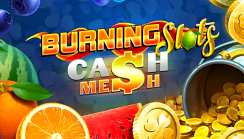 Burning Slots Cash Mesh