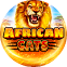 African Cats