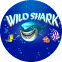 Wild Shark