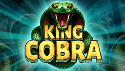 King Cobra