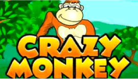 Crazy Monkey