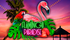 Flamingo Paradise