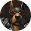 Nitropolis 4