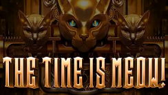 The Time is Meow
