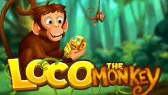 Loco The Monkey