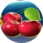 Juicy Riches