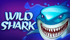 Wild Shark