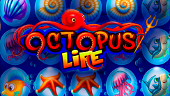 Octopus Life